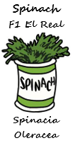 Spinach - El Real F1