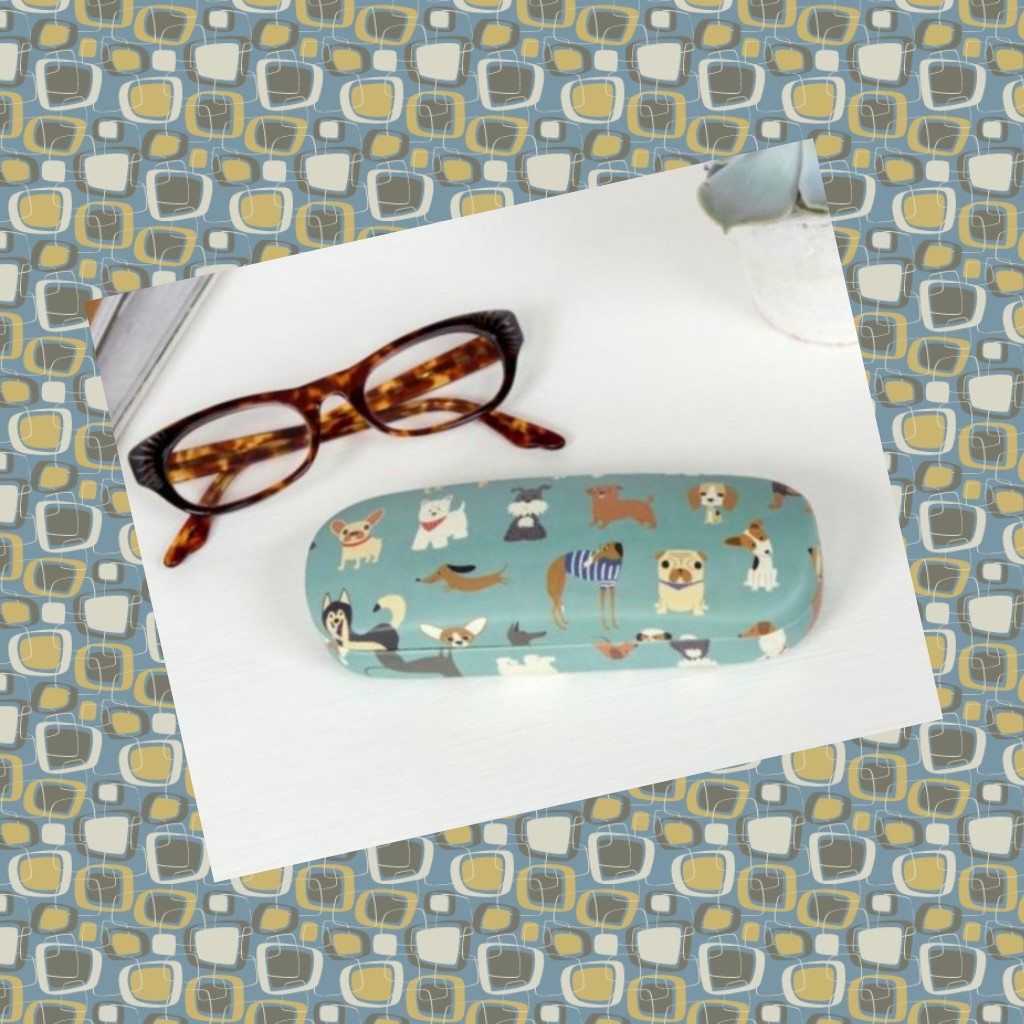 Glasses Case with cleaning cloth