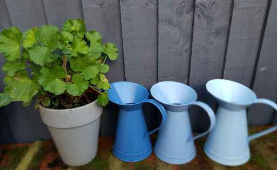 Blue Jug Watering Can