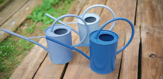 Blue French Indoor Watering Can