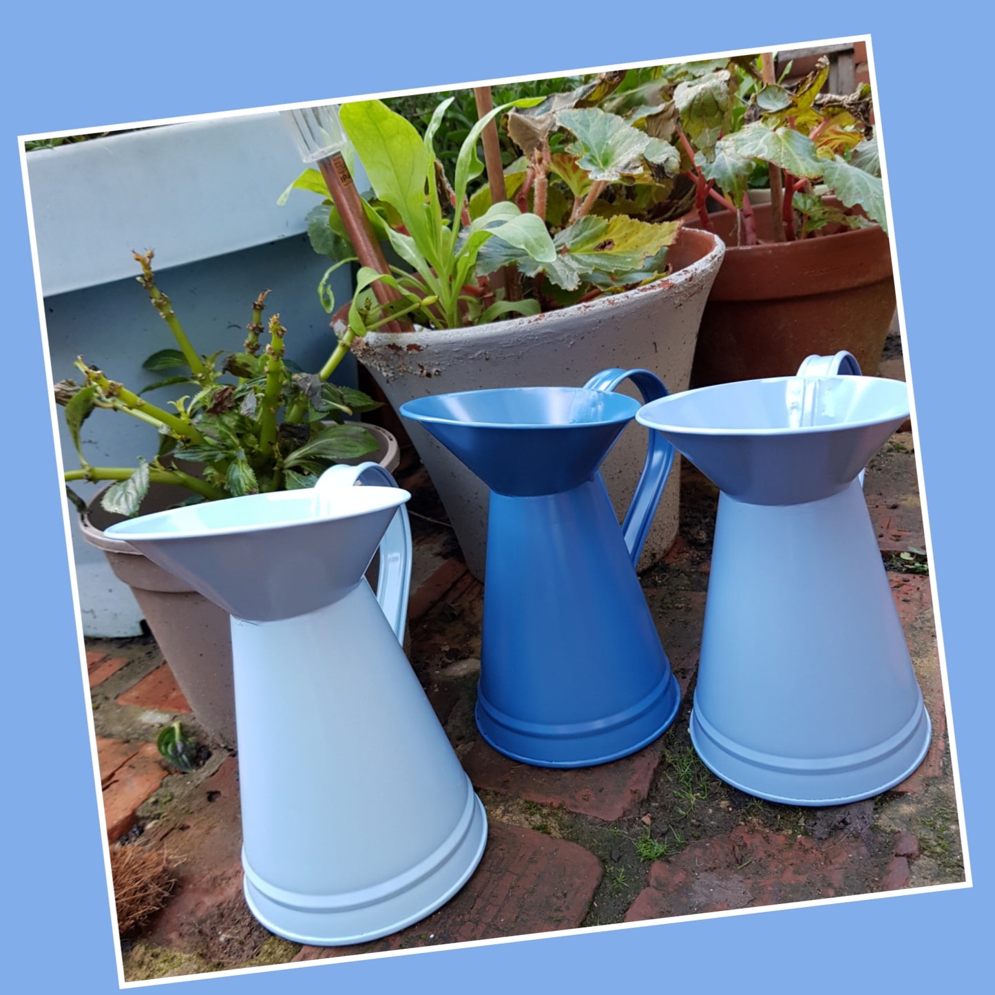 Blue Jug Watering Can