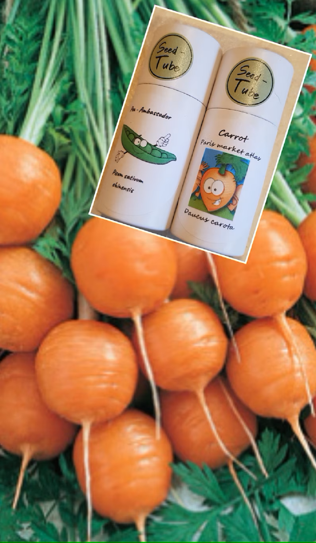 Gift Set for children - Pea & Carrot Seedlings Gift Set