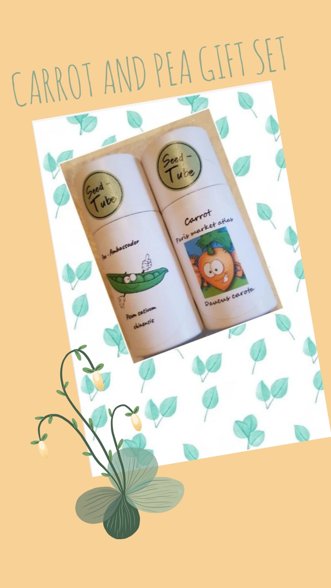 Gift Set for children - Pea & Carrot Seedlings Gift Set