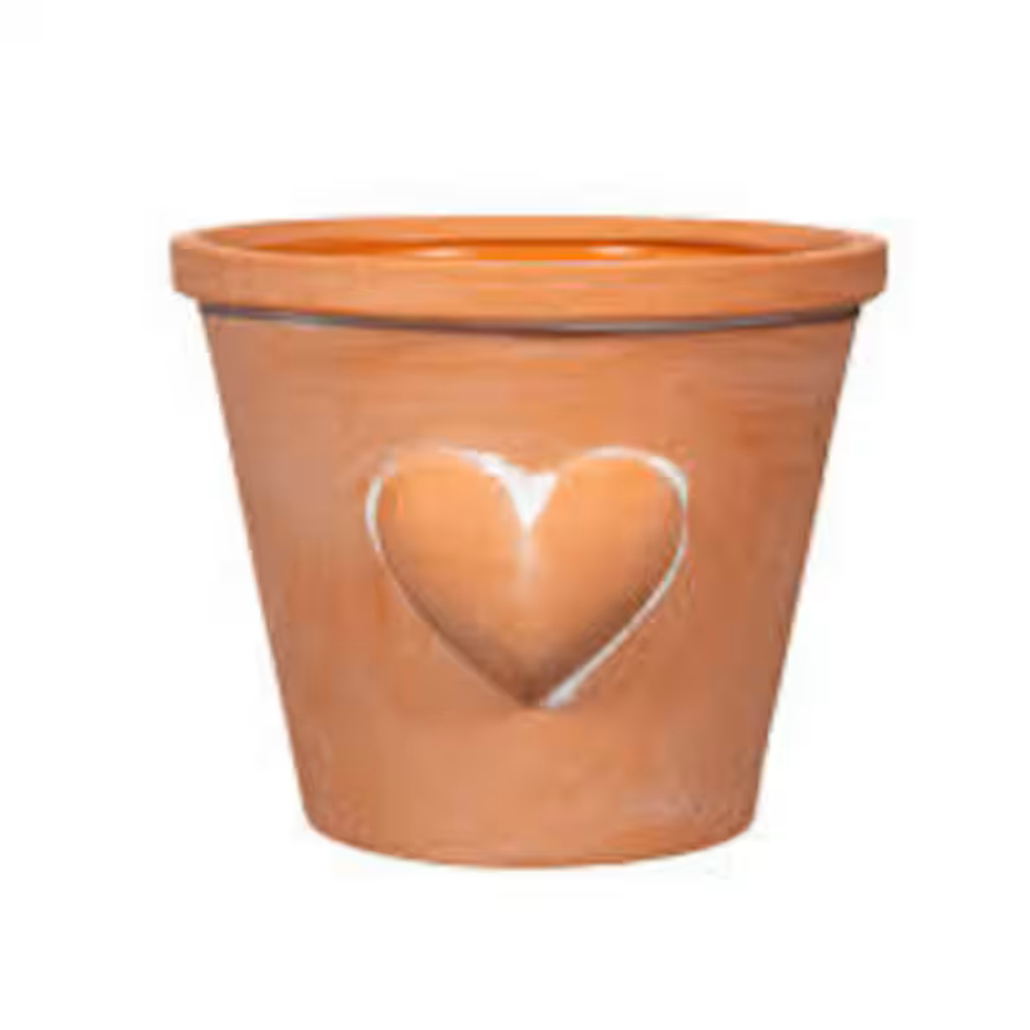 A pot full of love gift set