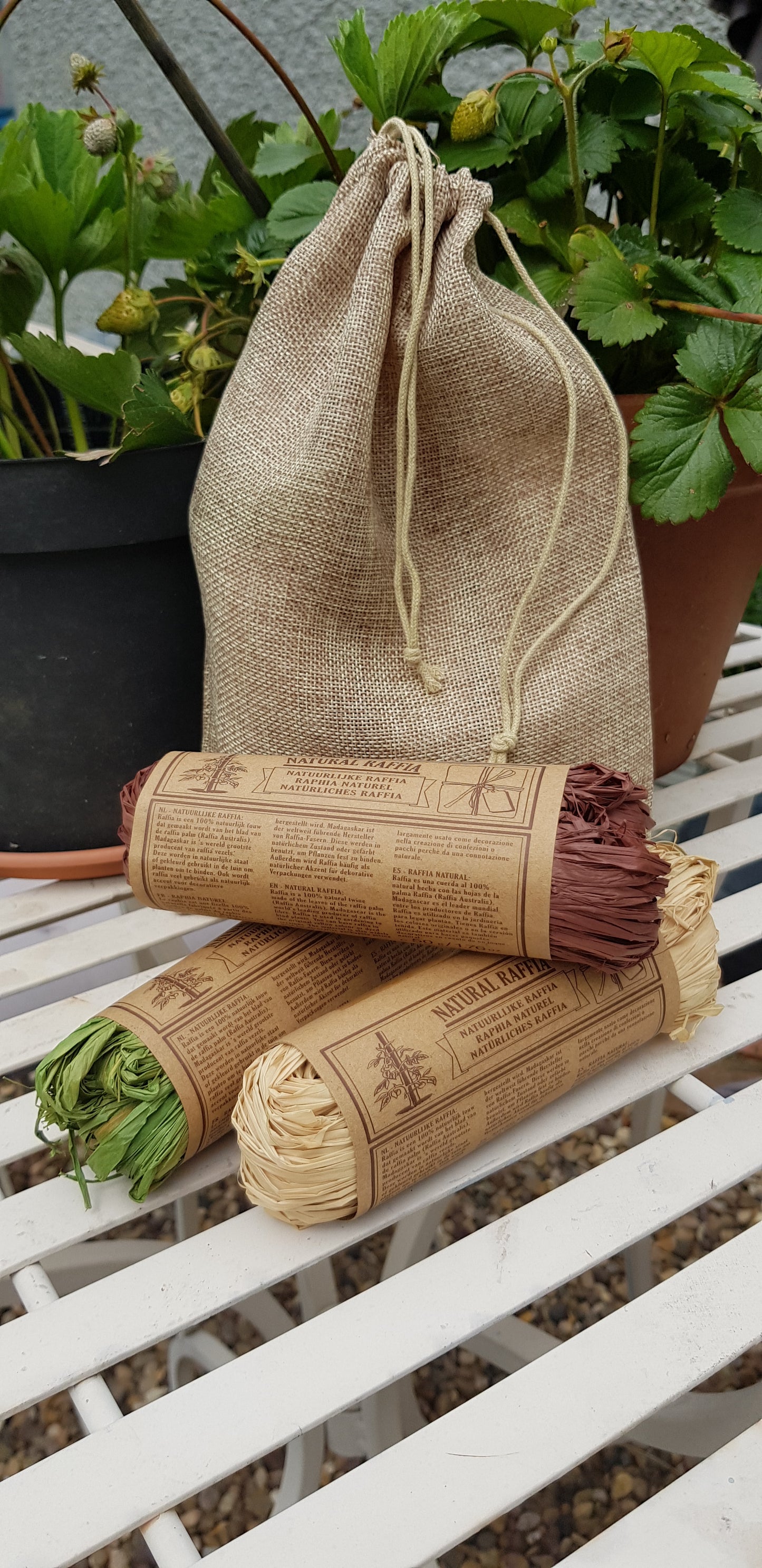 Vegetable Seeds and Slate Markers Gift Set