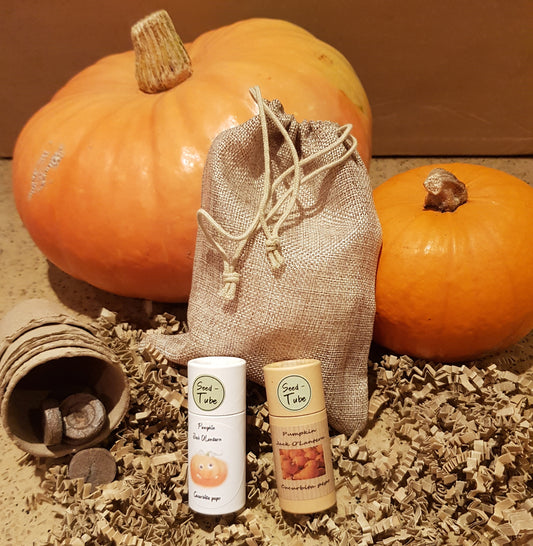 Grow your own pumpkin - gift set