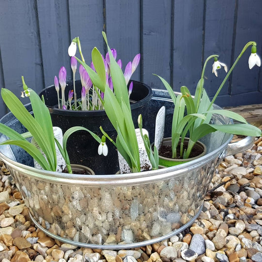 Zinc Tub Round - Planter