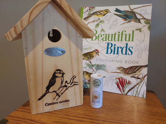 Bird Home & Sunflower Gift Set