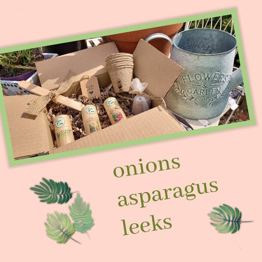 Vegetable Seed Gift Set - Grow your own onions, asparagus & leeks