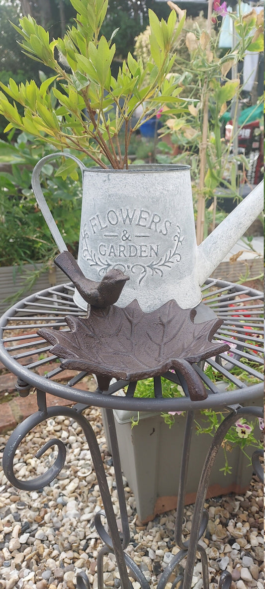 Cast Iron Bird Bath (small)