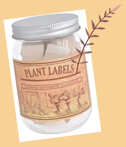 Wooden Plant Labels in a Jar