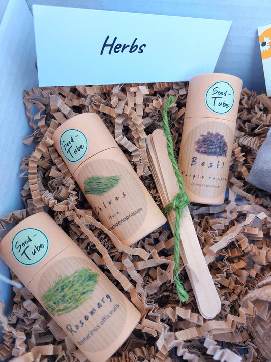 Herb Garden Gift Set