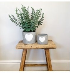 Cement Pot White Heart