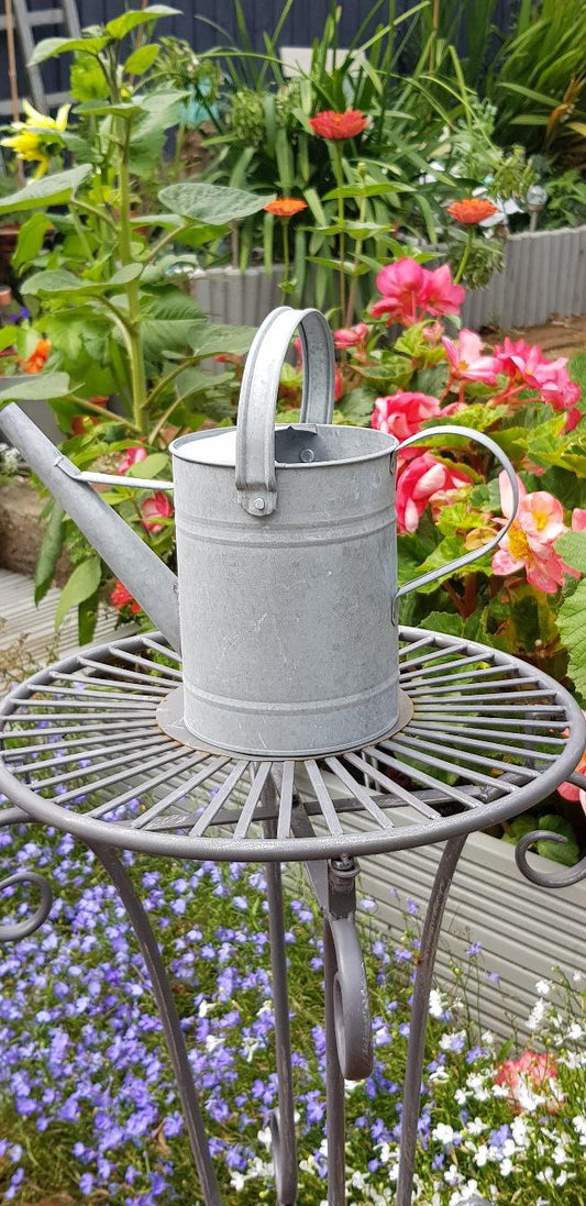 Watering Can (zinc) - 1.6L