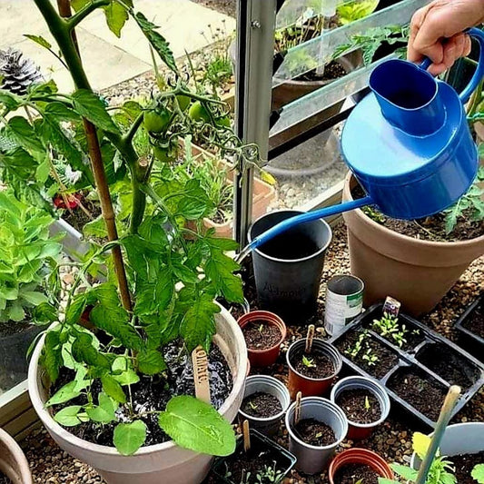 Watering Can with long spout - indoor