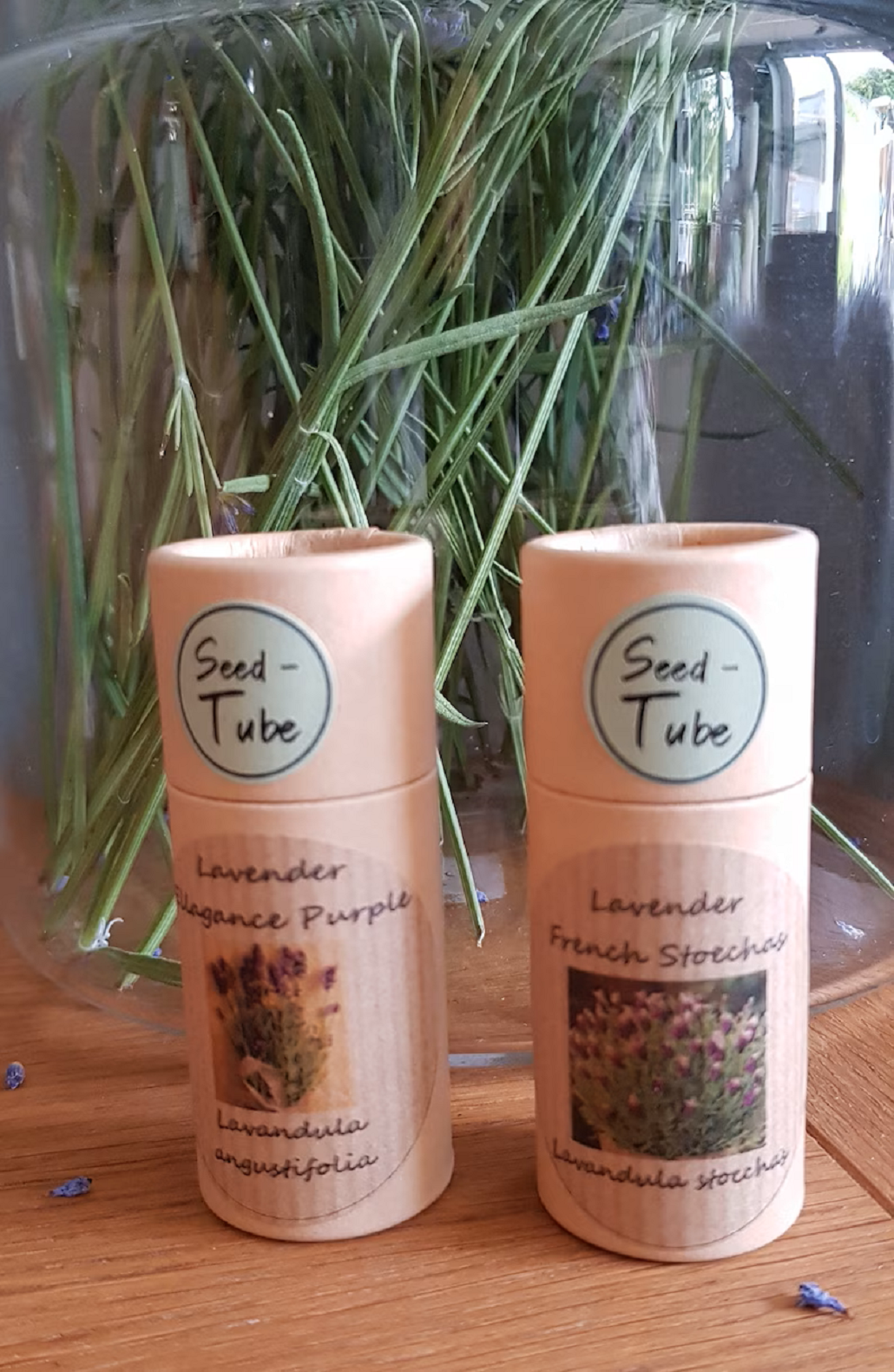 Grow Your Own Lavender Gift Set