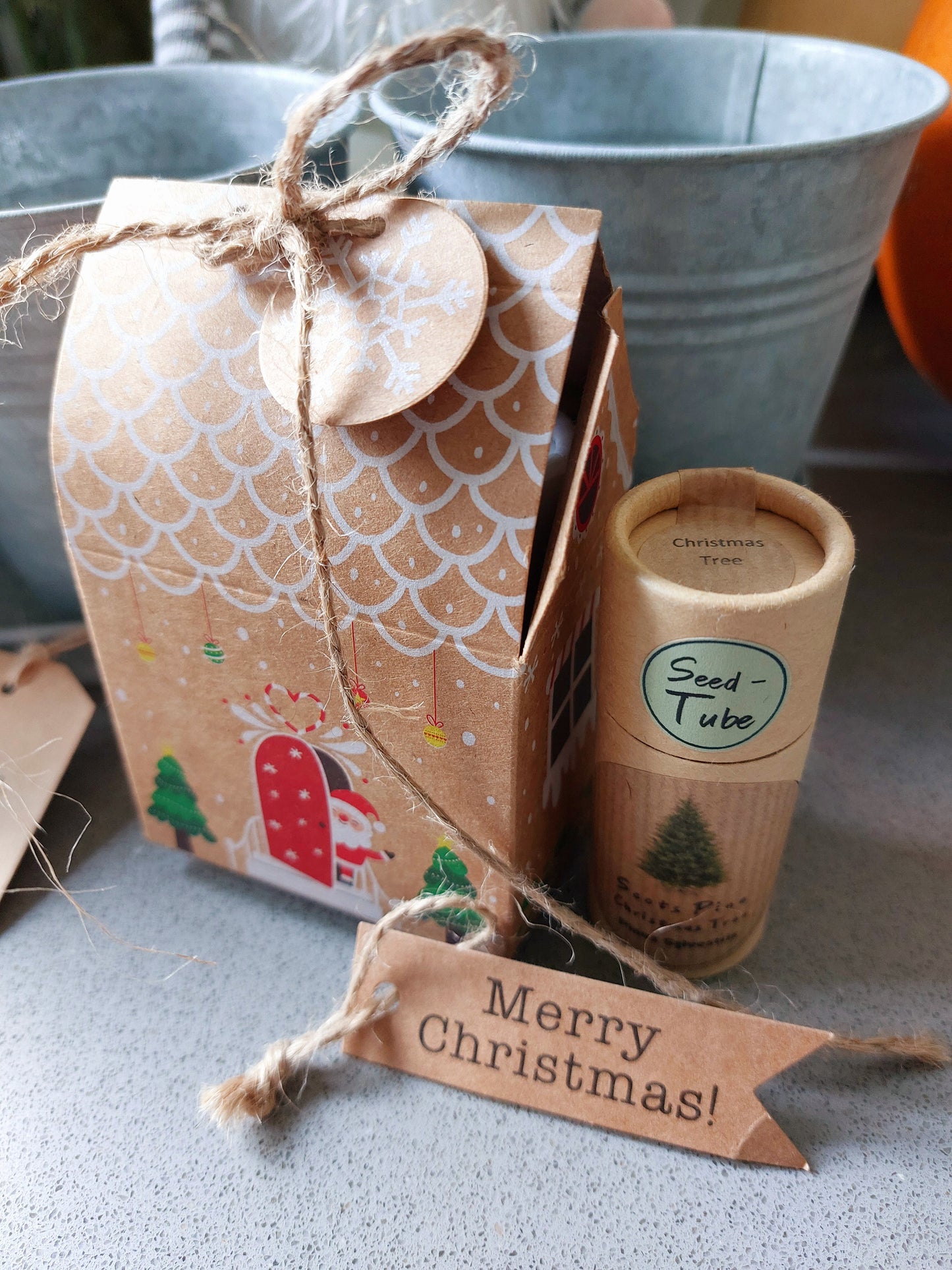 Let it grow this Christmas gift set